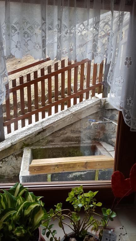 Ospitalita Diffusa Laste Dolomites - Cesa Murer Pallua 외부 사진
